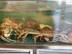 -阳光码头海鲜火锅(世纪大道店)