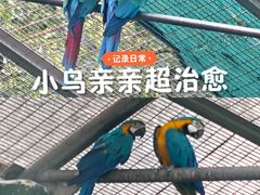 -成都动物园