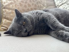 -Me Coffee下午茶艺术空间