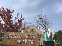 -海边的猫和咖啡馆