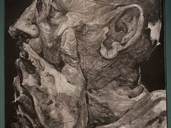 -浙江西湖美术馆