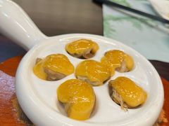 -黑松白鹿(金融街店)