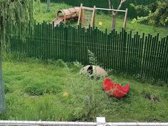 -沈阳森林动物园