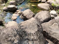 -白塘生态植物园