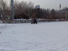 -沈阳奥体冰雪嘉年华