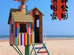 -日照海滨国家森林公园