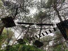 -客乐得玉峰山房车营地