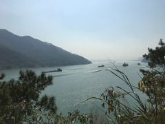 -羚羊峡古栈道森林公园