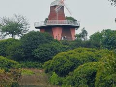 -东莞植物园
