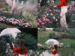 -人民公园(罗湖区)