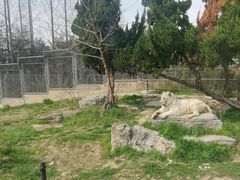 -上海野生动物园