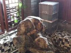 -孙家面馆(小康城店)