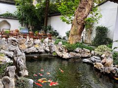 -鲤院·新中式美学·庭院餐厅(夫子庙店)