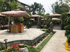 -二荆条·蜀鲜汇城市森林火锅