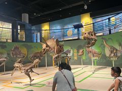 -国家自然博物馆