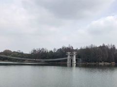 -东湖落雁景区