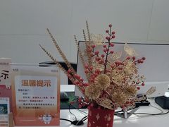 -泰康拜博口腔(世纪城店)