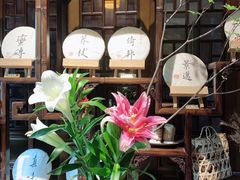 -普洱茶府(博乐广场店)