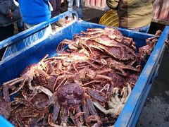 -江杨农产品批发市场