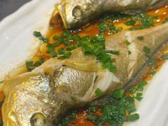 -魚當家
