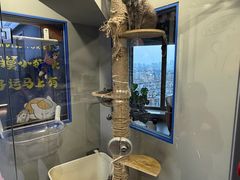 -莱姆星桌游·拼豆·团建