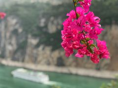 -白帝城·瞿塘峡景区