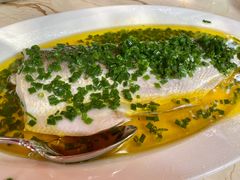 葱油蒸白水鱼-玫瑰厅上海菜(兴国路店)
