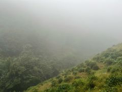 -东白山