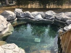 -和园景逸大酒店朗月汤泉
