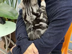 -北京博爱动物医院有限公司