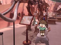 -陕西自然博物馆