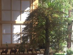 -七福日本料理