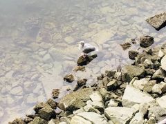 -固兰湖岛