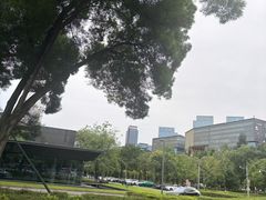 -成都当代美术馆