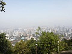 -铁山坪森林公园