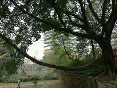 -成都市活水公园