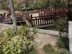 -西安市长乐公园