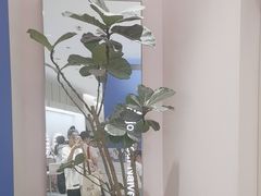 -天真蓝照相馆(杭州滨江宝龙店)