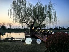 -苏州湾·王焰温泉