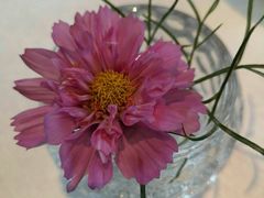 -乌镇望津里精品酒店