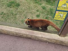 -黔灵山公园