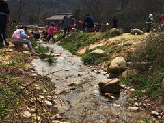 -好运来农家菜(吉林路店)