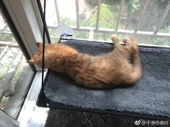 -达美乐比萨(双安店)