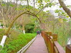 -重庆彩云湖湿地公园
