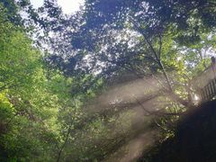 -梦幻奥陶纪景区