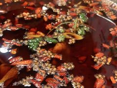 -味之绝热血美蛙鱼火锅(中坝店)