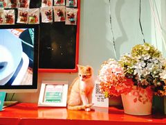 -大王油茶(二厂文创公园店)