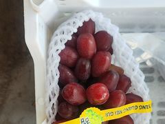 -马陆小张葡萄园农家乐