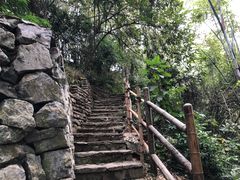 -老木棉·匠园