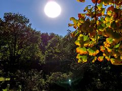 -国家植物园南园